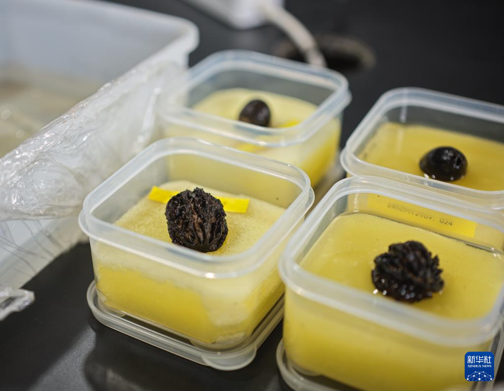 走近四川資陽濛溪河遺址群