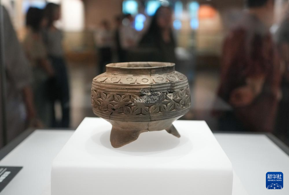 新時(shí)代中國(guó)調(diào)研行之文化中華｜在山東大汶口探尋文明曙光