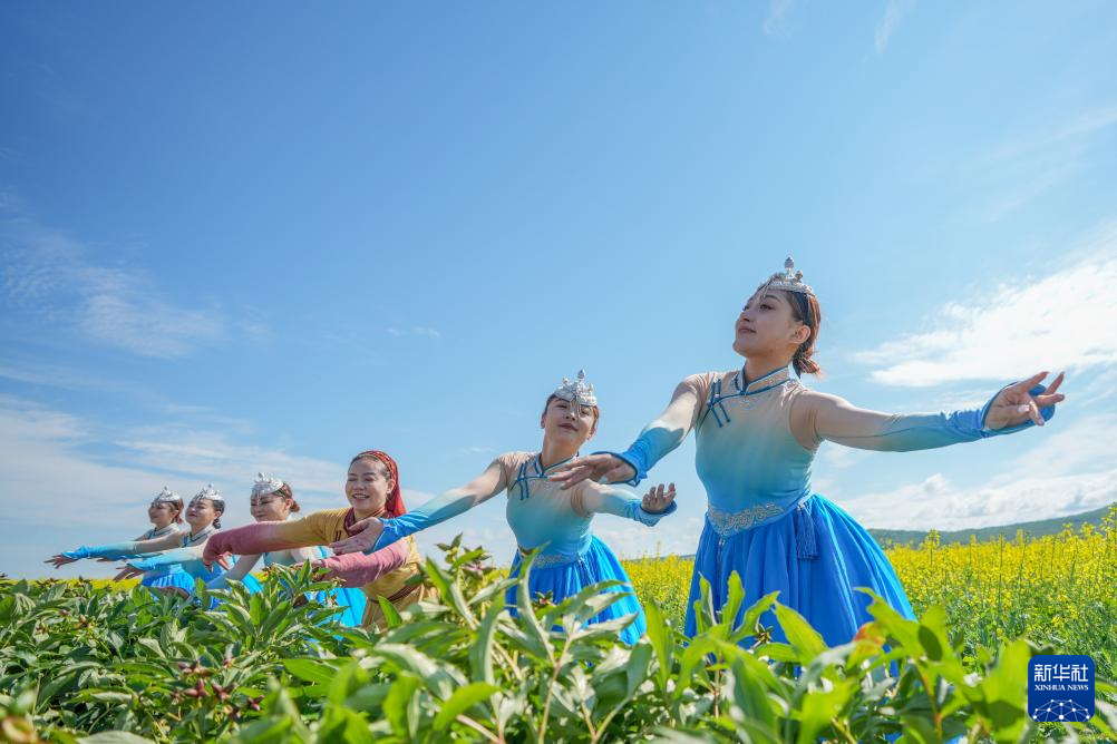 內(nèi)蒙古額爾古納：油菜花海醉游人