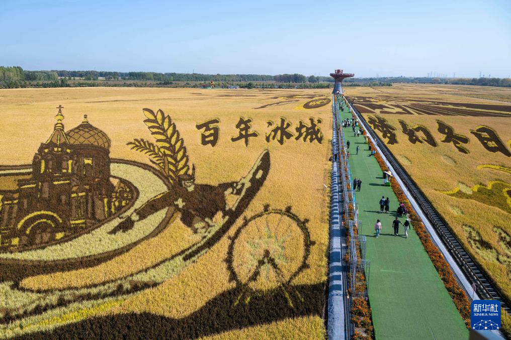 2025年中國農(nóng)民豐收節(jié)黑龍江省主場(chǎng)活動(dòng)啟幕