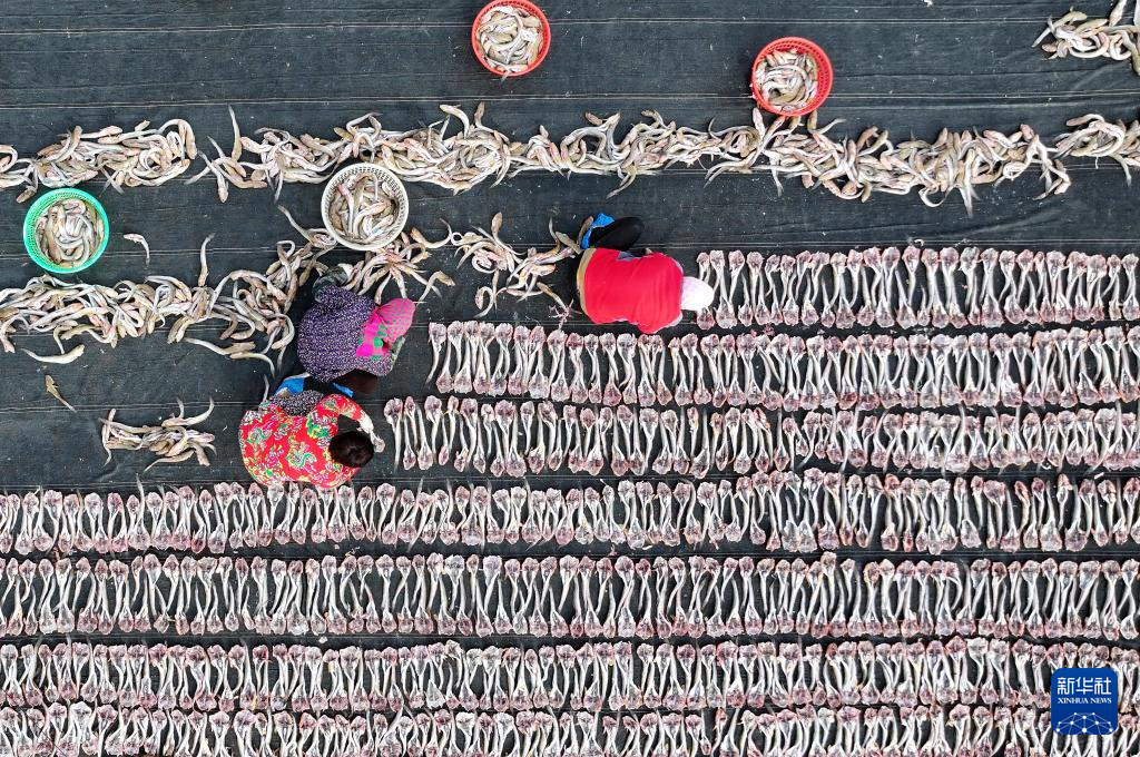 冬日海產(chǎn)品晾曬忙