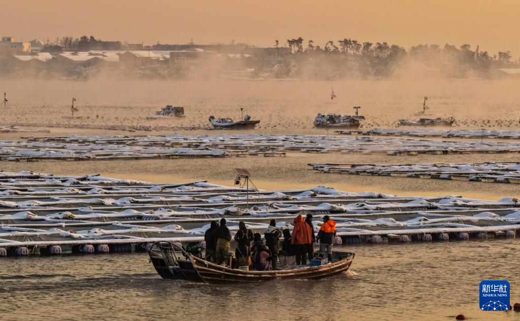 山東榮成：雪后海灣出現“海浩”景觀