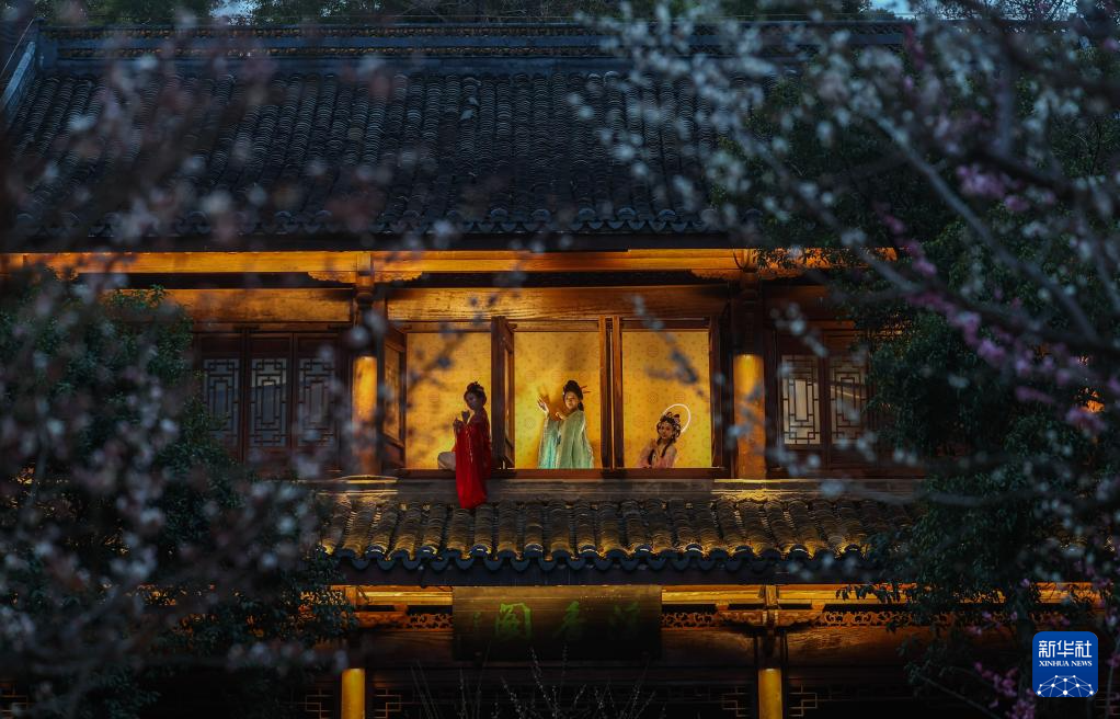 杭州賞梅勝地開啟特色夜游賞梅活動